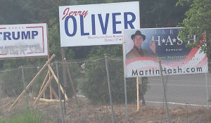 Political Signs5